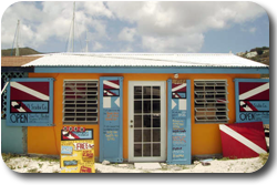 bvi dive center